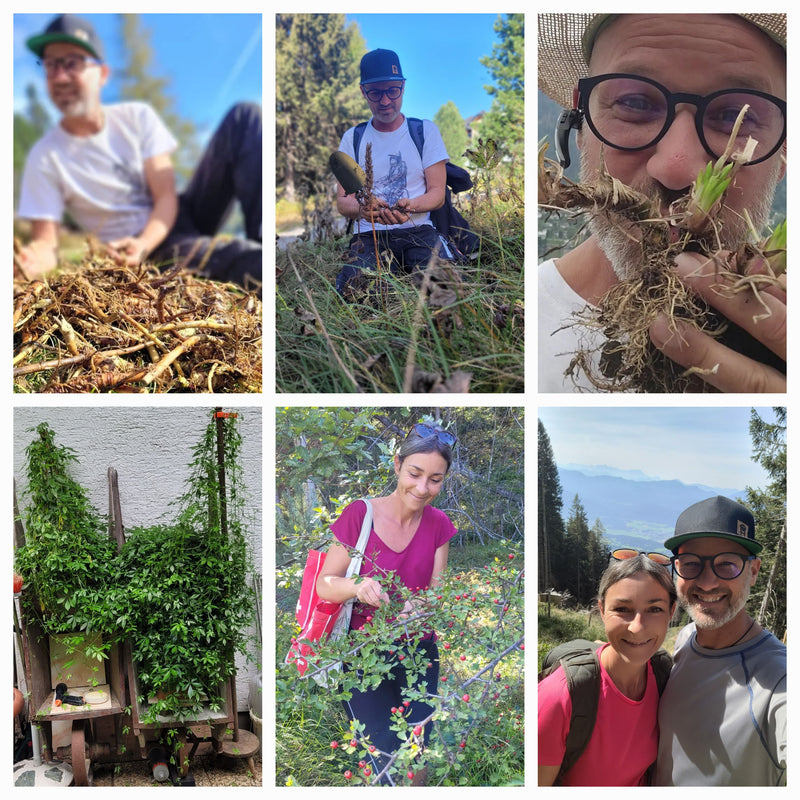 Essenza di biancospino