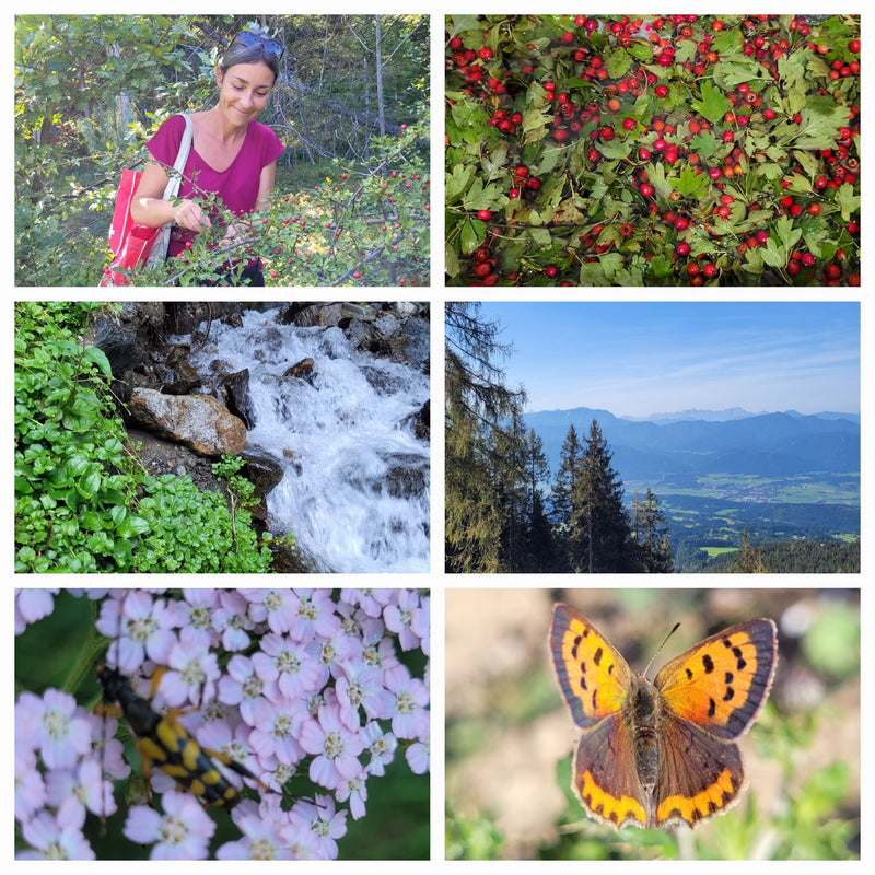 Essenza di biancospino