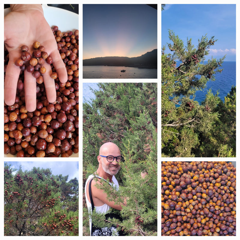 Olio di bacche di ginepro