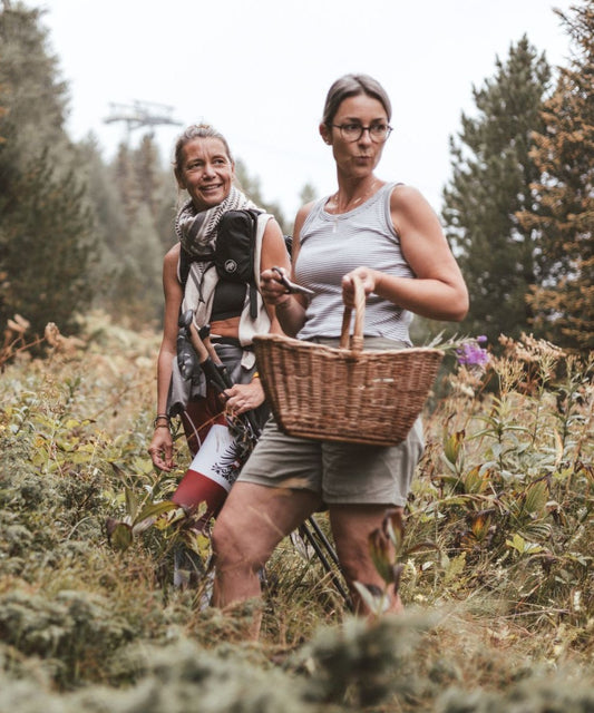 Wechsel-Spiel Essenz