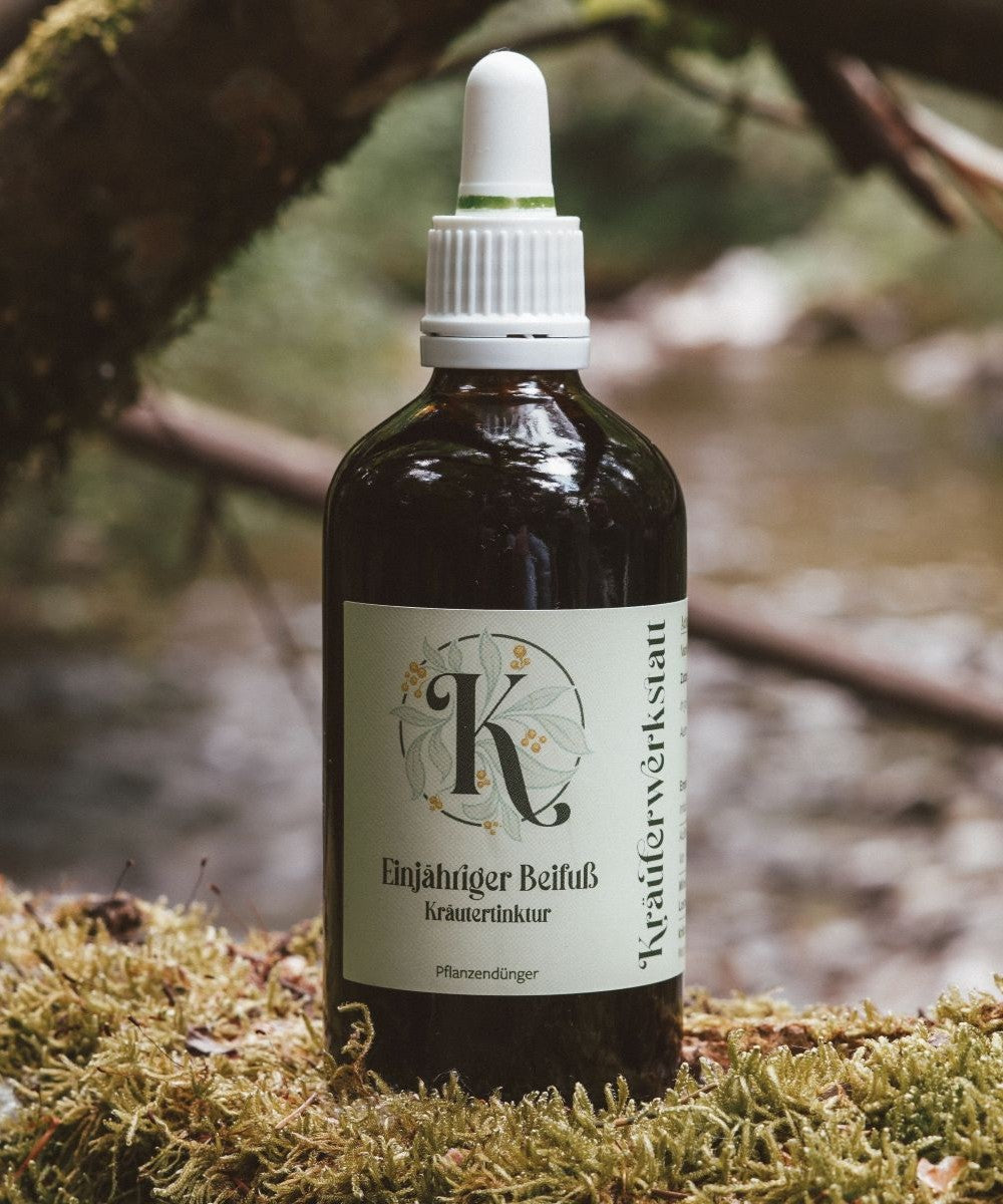 Einjähriger Beifuß Tinktur
