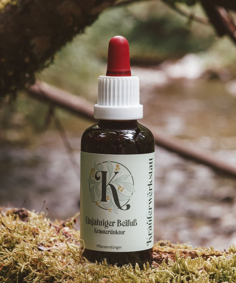 Annual mugwort tincture
