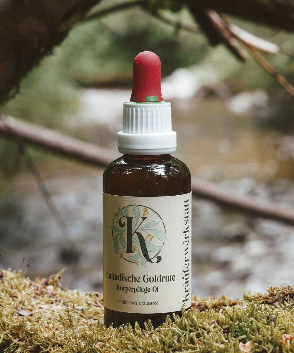 Canadian Goldenrod Oil