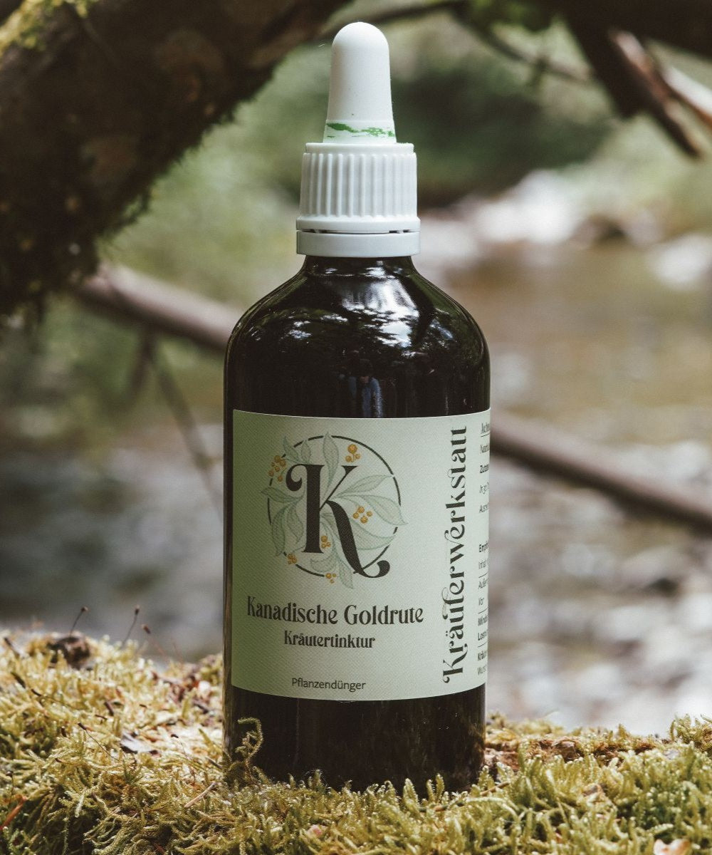 Kanadische Goldruten Tinktur