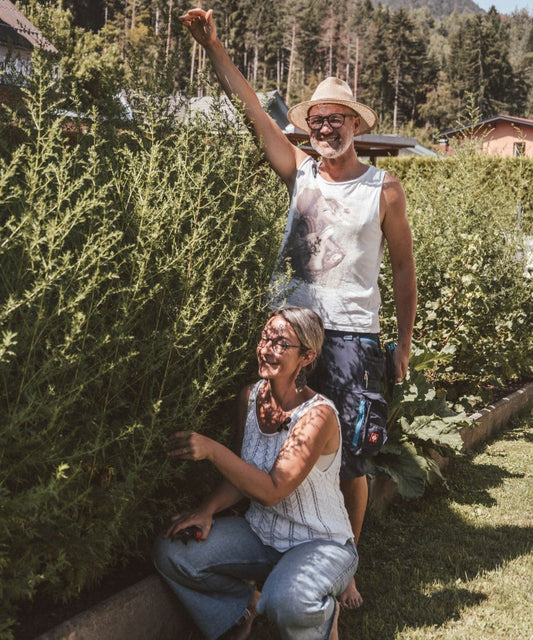 Einjähriger Beifuß Tinktur