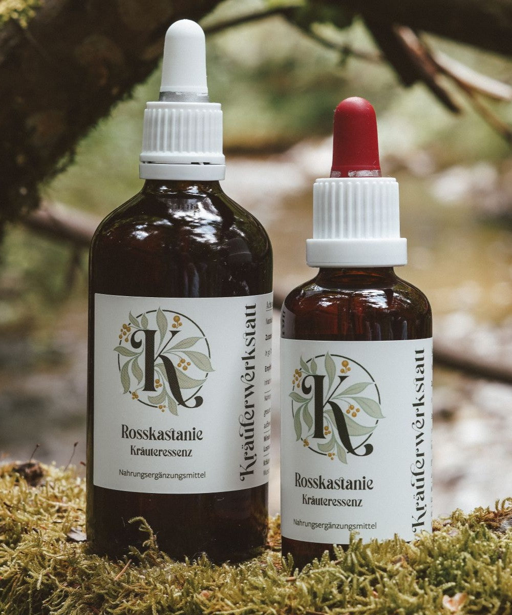 rosskastanien aufbewahren Rosskastanien-Essenz – 600mg Extrakt aus Kärntner Wildsammlung –  Kräuterwerkstatt Kärnten