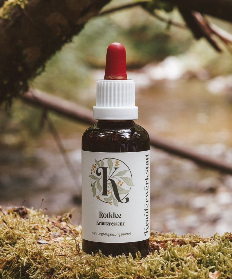 Essenza di trifoglio rosso