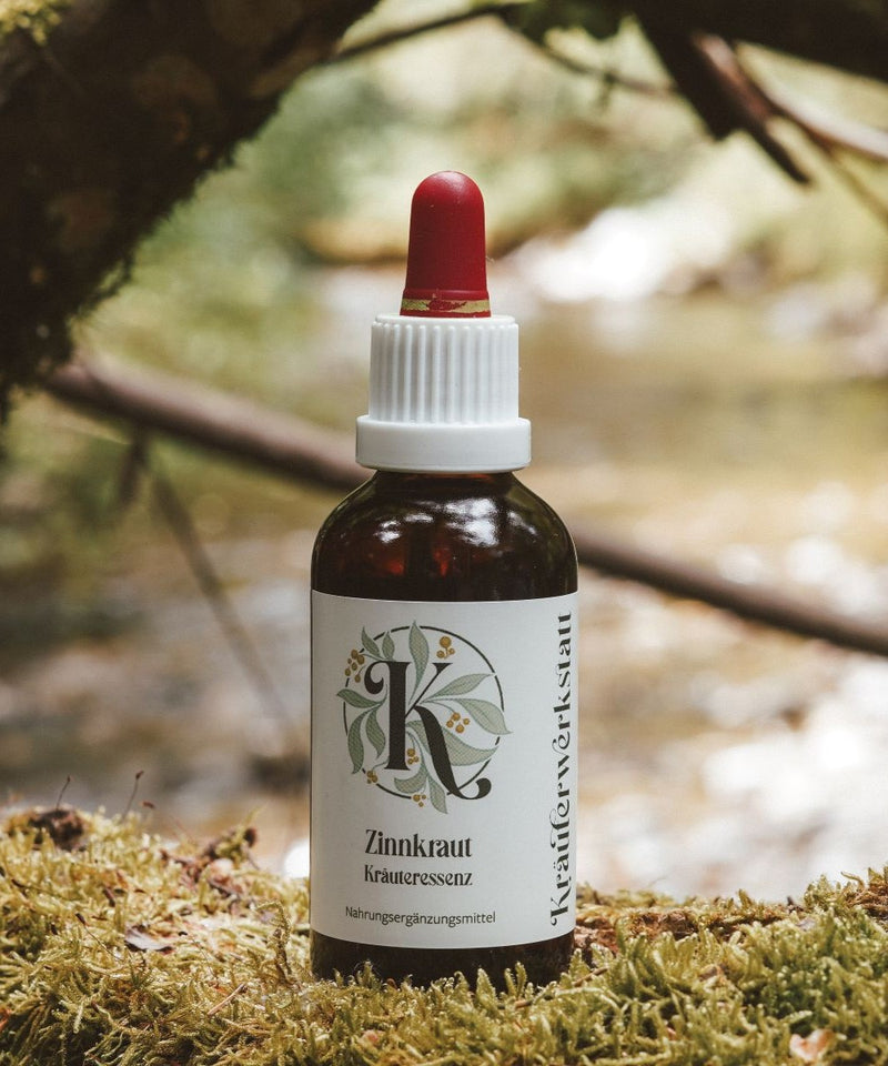 Horsetail (or field horsetail) essence