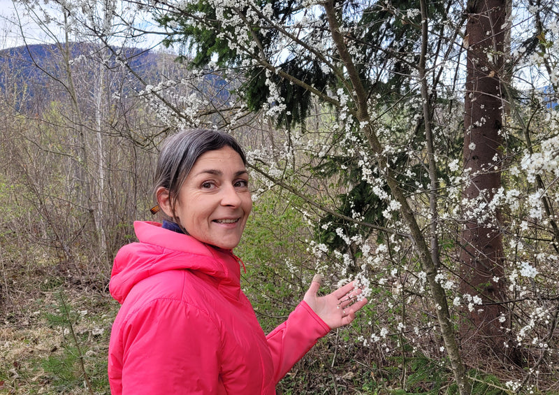 Essenza di biancospino