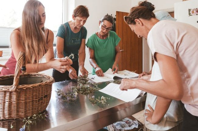 Kräuterschule - Workshops und Kräuterführungen