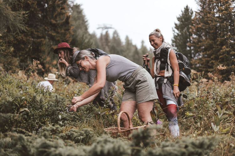 Workshops und Kräuterwanderungen