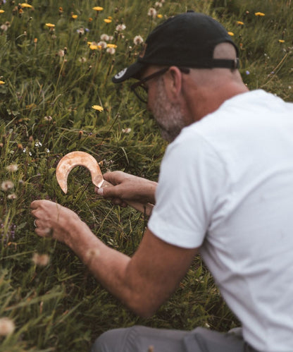 Zinnkraut (oder Ackerschachtelhalm) Essenz