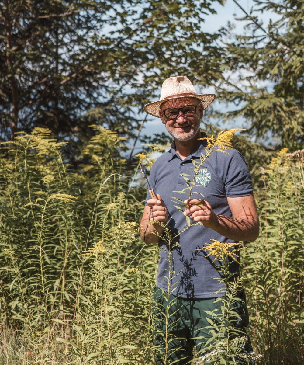 Canadian Goldenrod Tincture