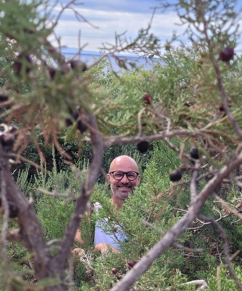 Wacholderbeeren Körperpflege-Öl