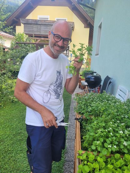 Brunnenkresse Essenz