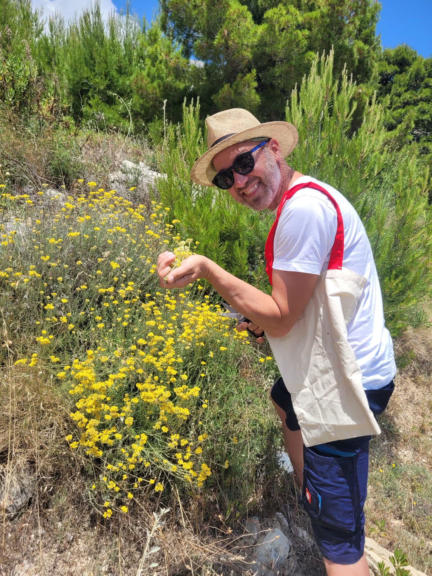 Immortelle Körperpflege-Öl