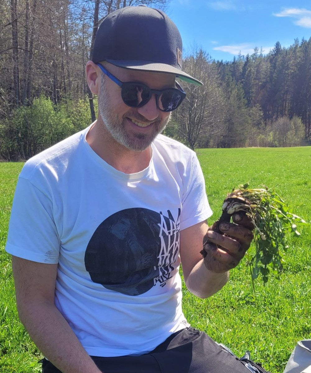 Essenza di radice di tarassaco