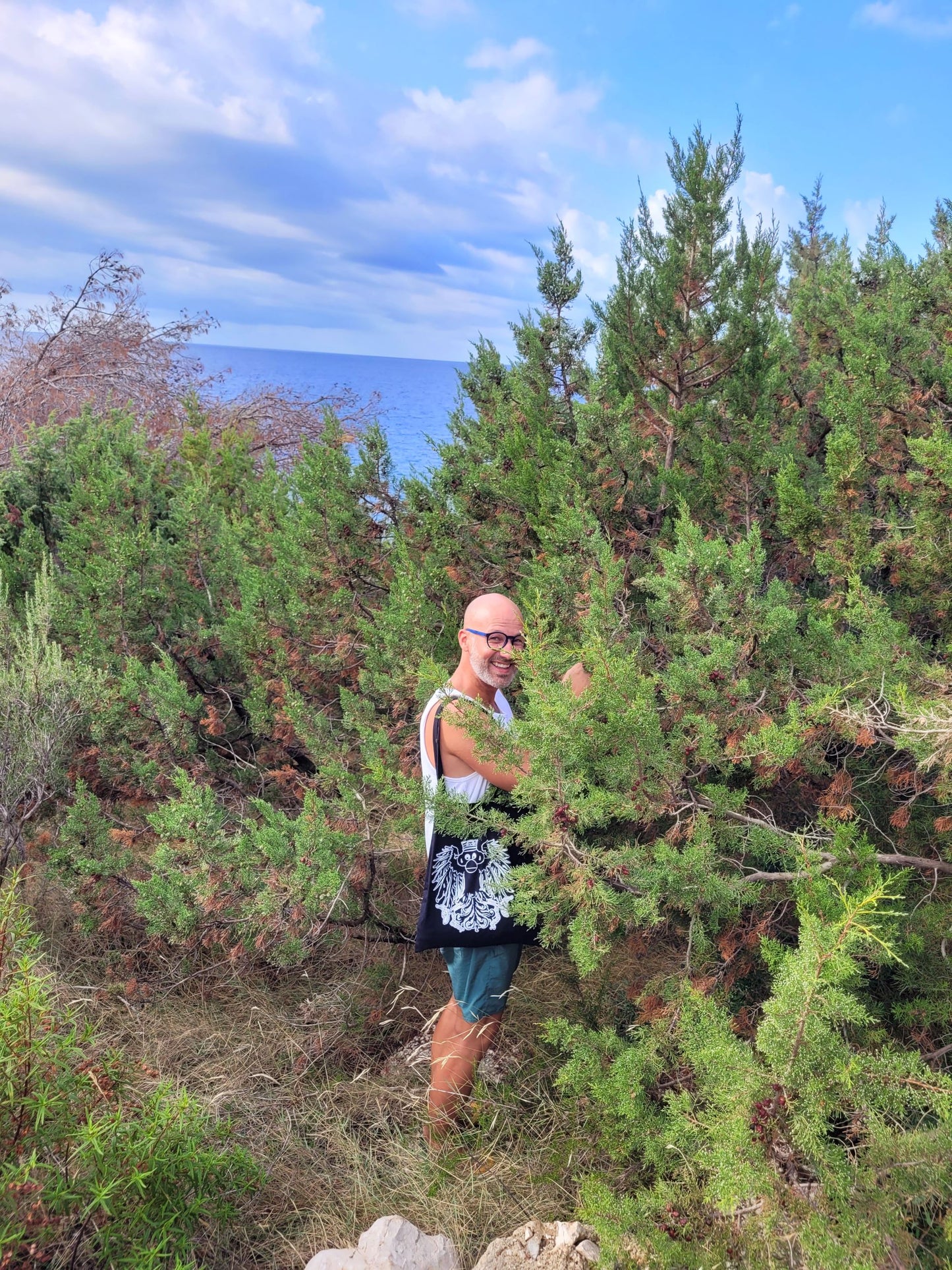 Wacholderbeeren Körperpflege-Öl