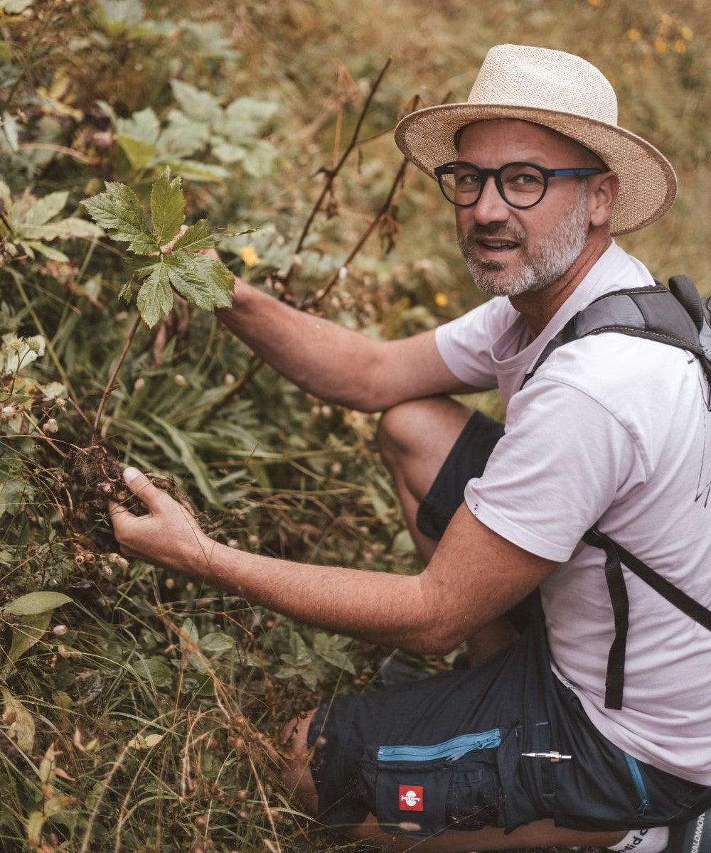 Licorice root essence
