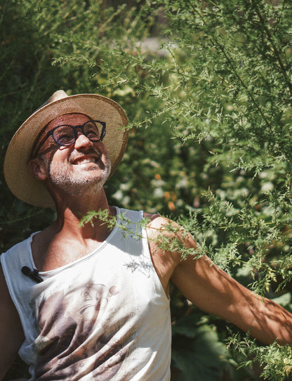 Einjähriger Beifuß Tinktur