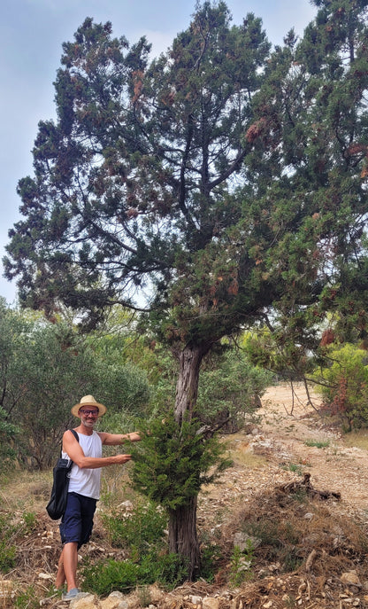 Juniper (berry) essence
