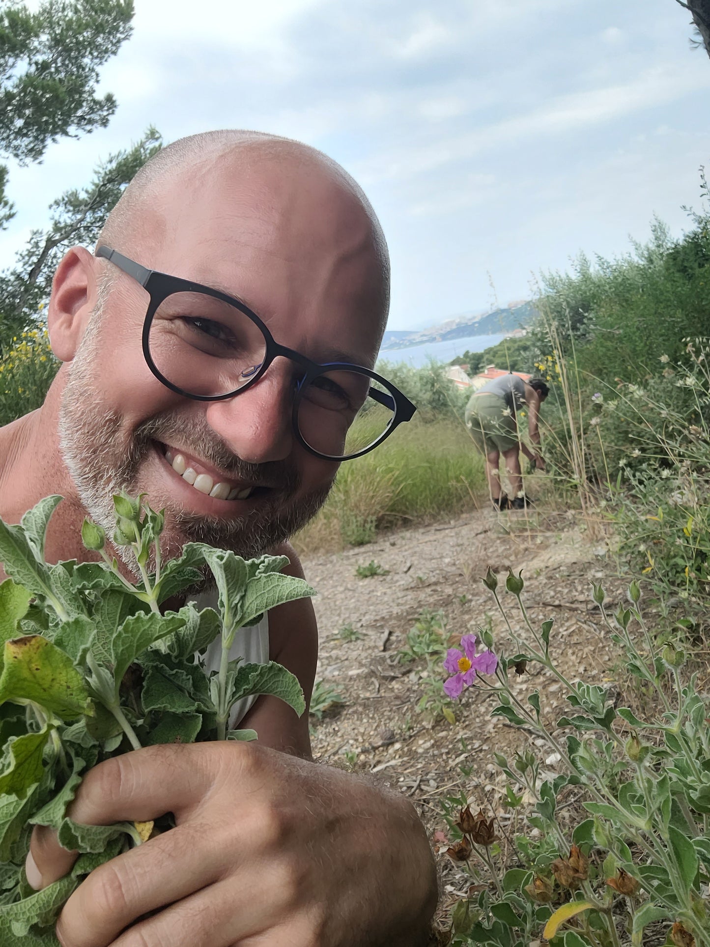 Zistrosen Körperpflege-Öl