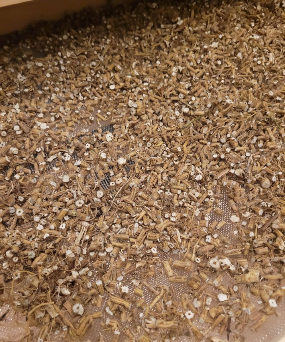 Brennnessel-Wurzel Essenz