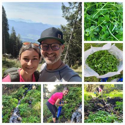 Brunnenkresse Essenz