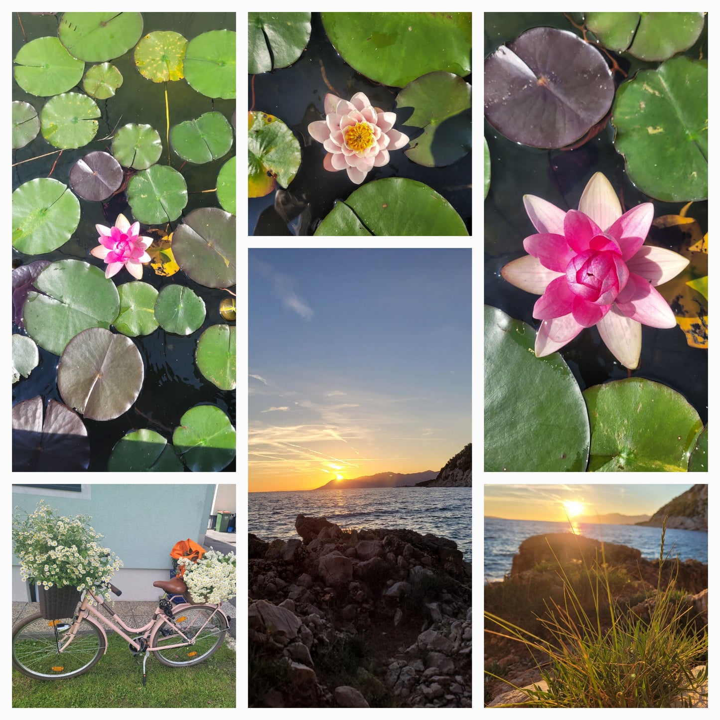 Ayurvedisches Massageöl