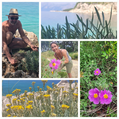 Immortelle Körperpflege-Öl