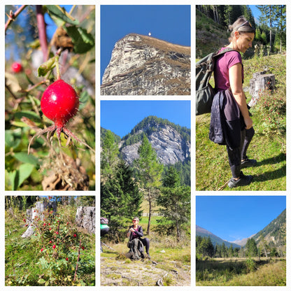 Hagebutten gemahlen 130g