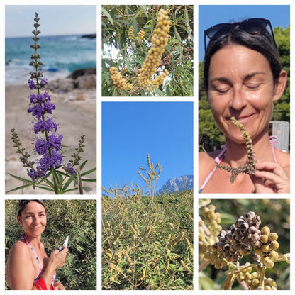 Mönchspfeffer(beeren) Essenz