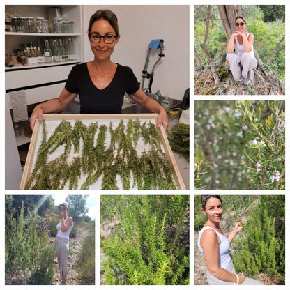 Haarwasser mit Rosmarin und Brennnesselwurzel Extrakt