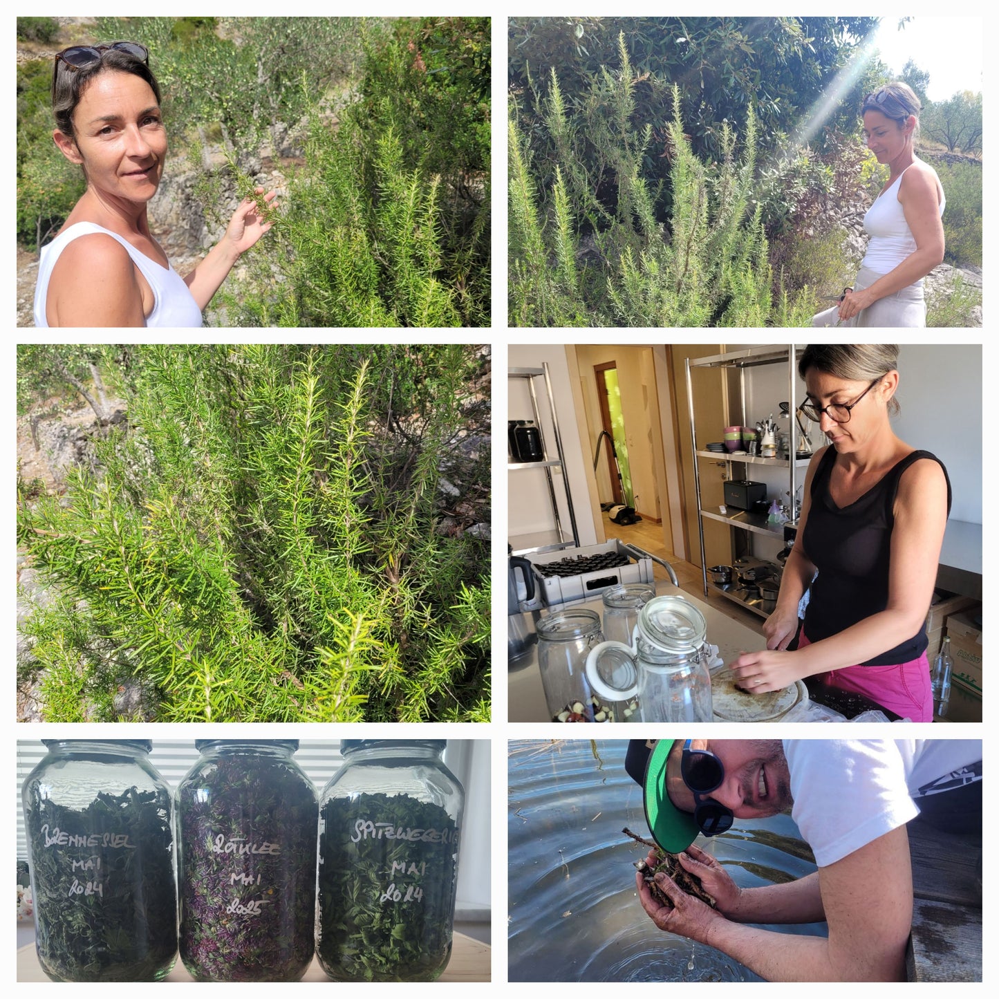 Haarwasser mit Rosmarin und Brennnesselwurzel Extrakt