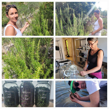 Haarwasser mit Rosmarin und Brennnesselwurzel Extrakt