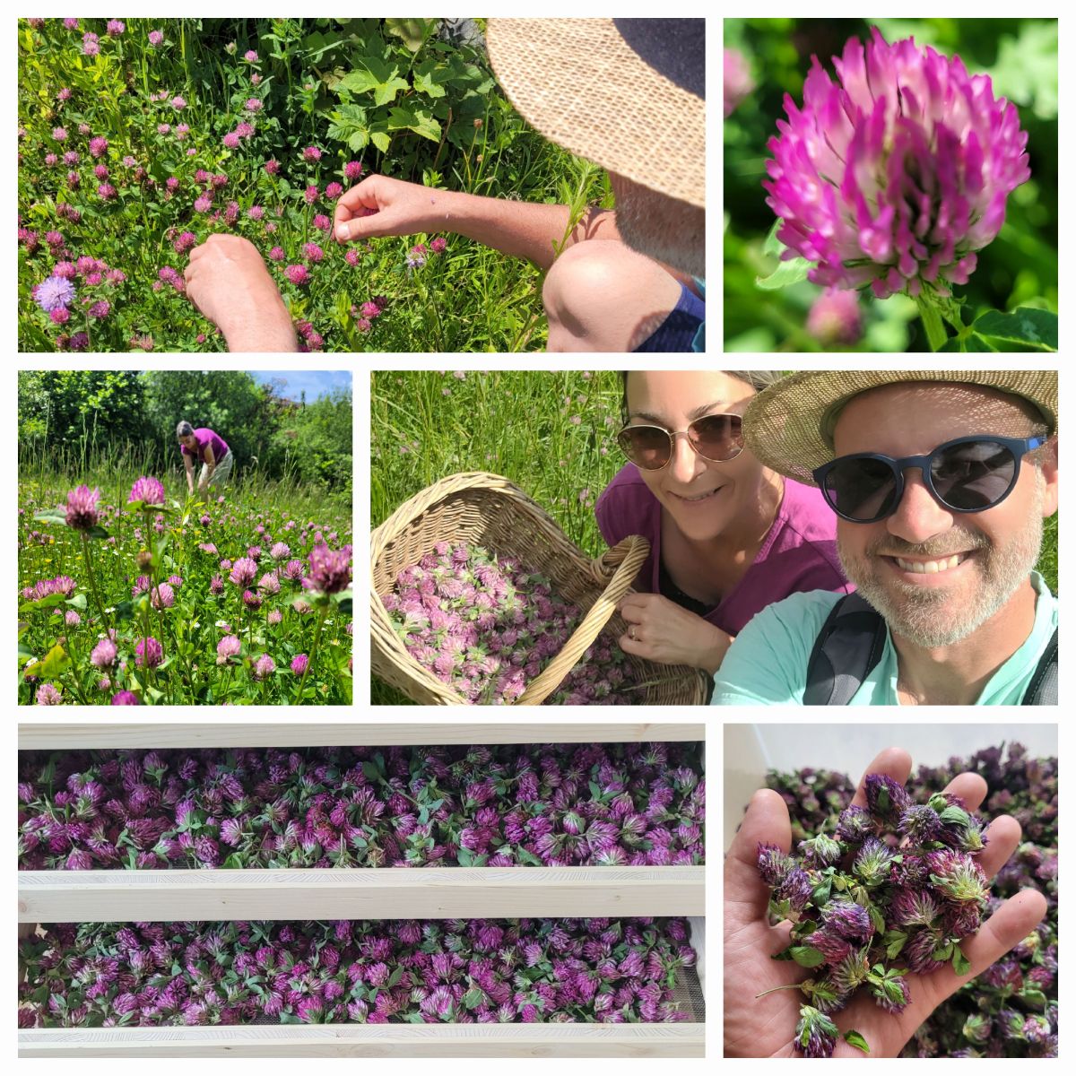 Wechsel-Spiel Essenz