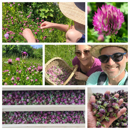 Wechsel-Spiel Essenz