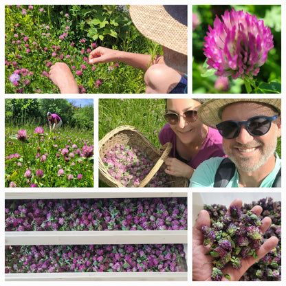 Wechsel-Spiel Essenz