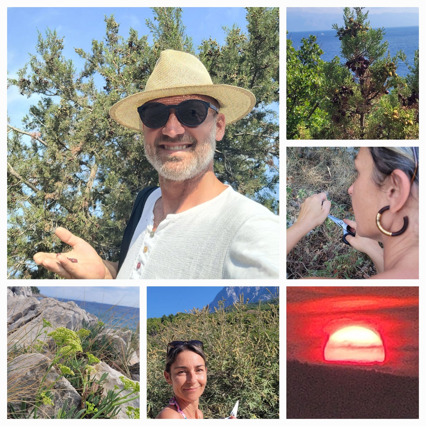 Juniper (berry) essence