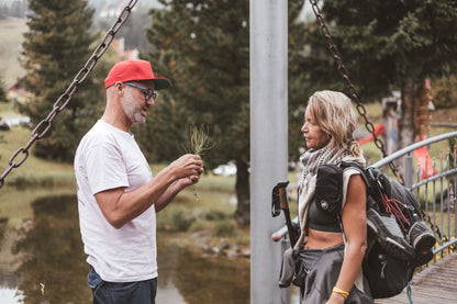 Zinnkraut (oder Ackerschachtelhalm) Essenz