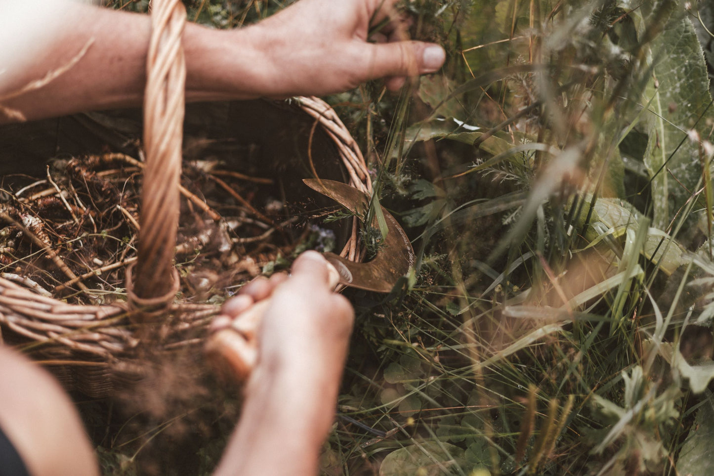 Essenza di Masterroot