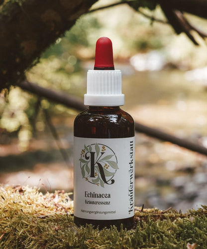 Echinacea Tinktur