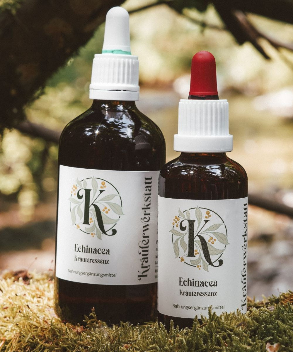 Echinacea Tinktur