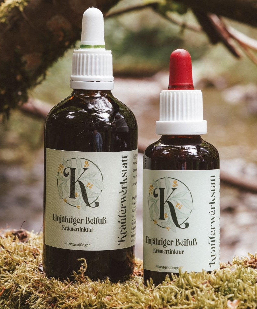 Einjähriger Beifuß Tinktur