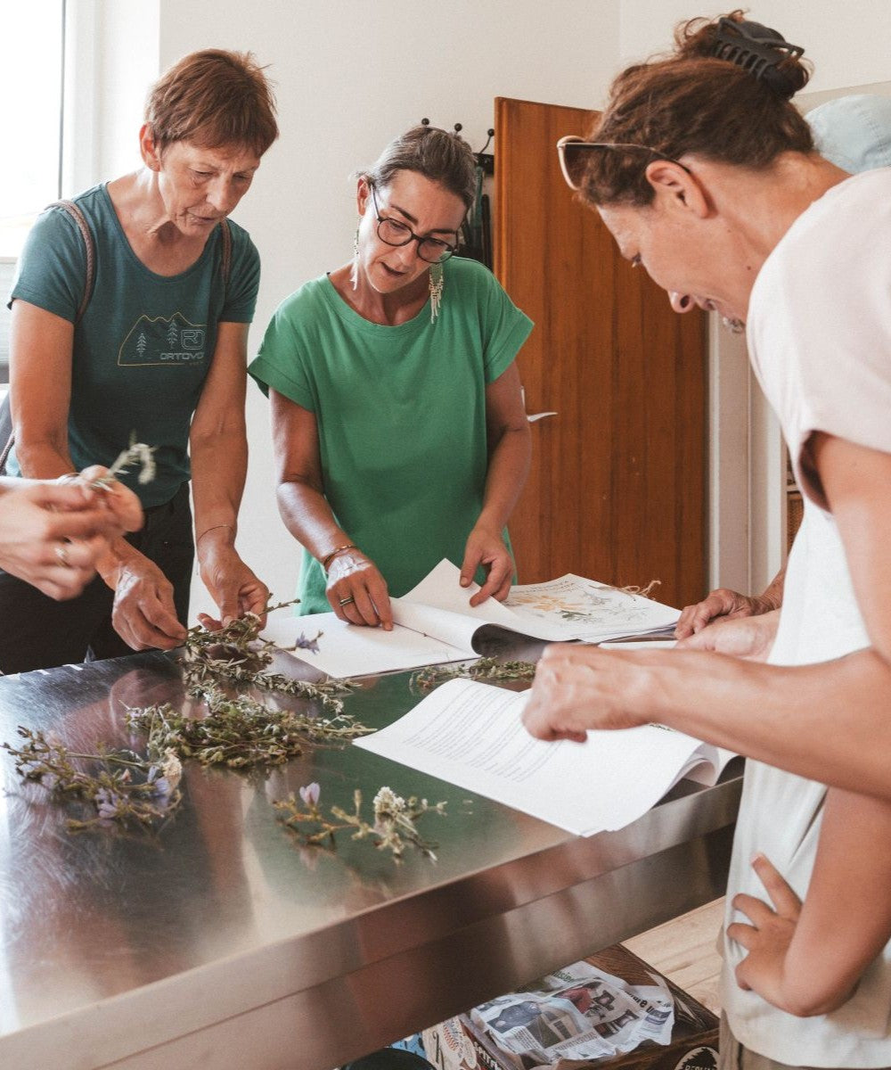 Kräuterführungen 2026