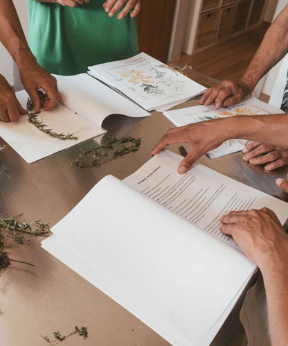 Kräuterführungen 2026