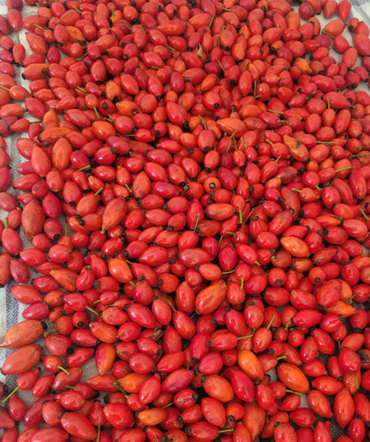 Hagebutten gemahlen 130g