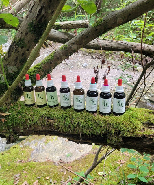 Die grüne 8 Pflanzenkraft