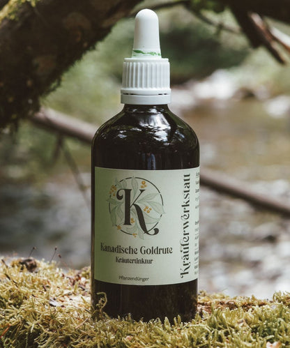 Kanadische Goldruten Tinktur