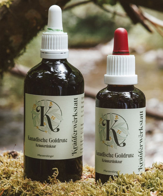 Kanadische Goldruten Tinktur